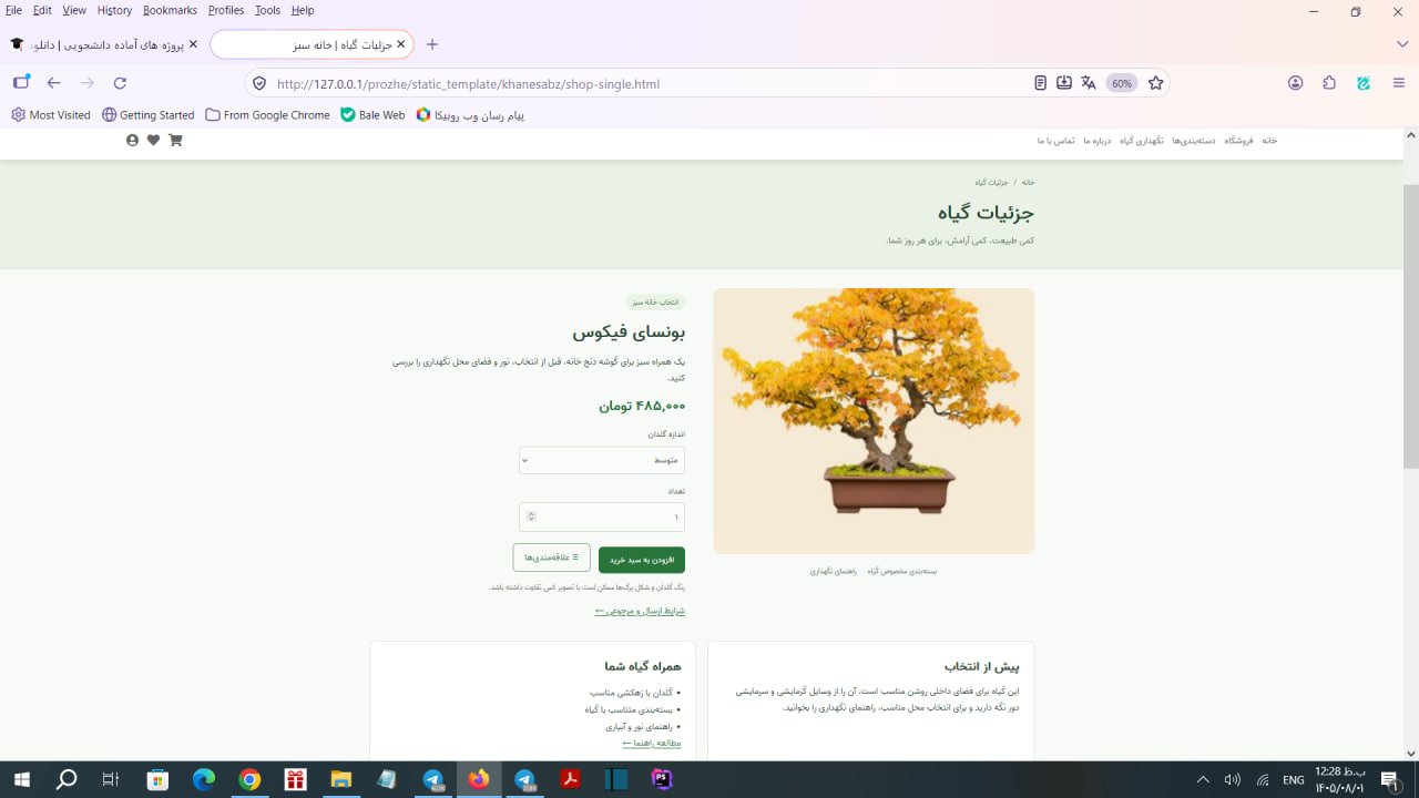 قالب فروشگاهی خانه سبز
